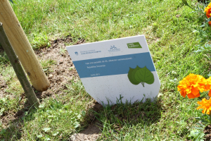 Proslava ob 20-letnici samostojne Slovenije 15